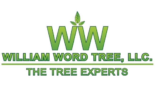 William Word Tree LLC