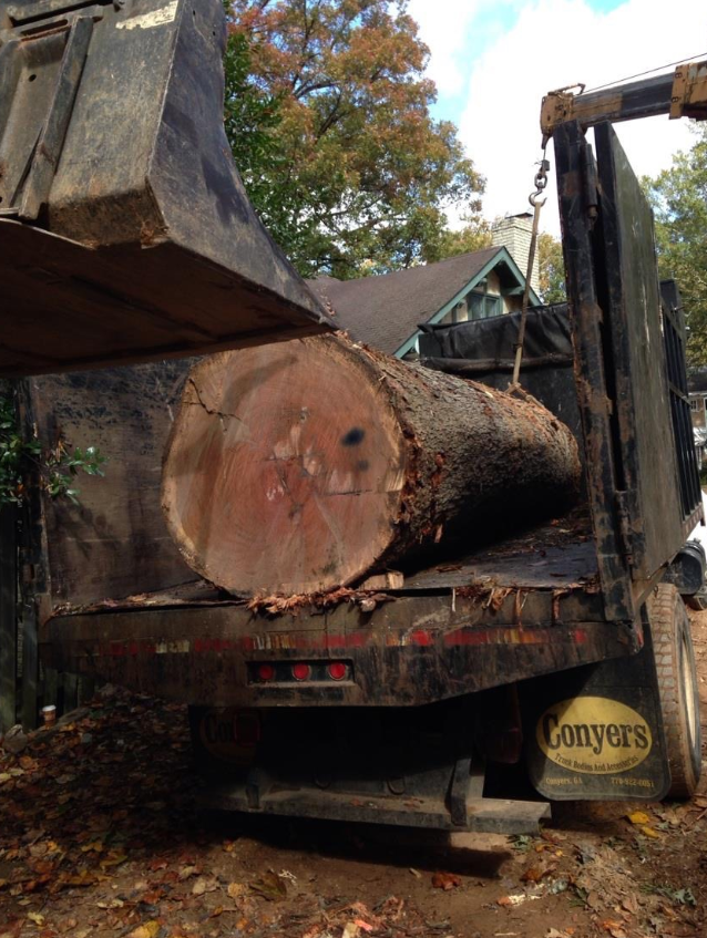Large tree trunk loaded on professional equipment truck