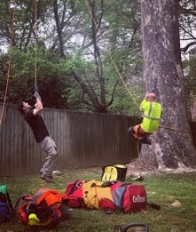 Professional tree service crew working in residential backyard
